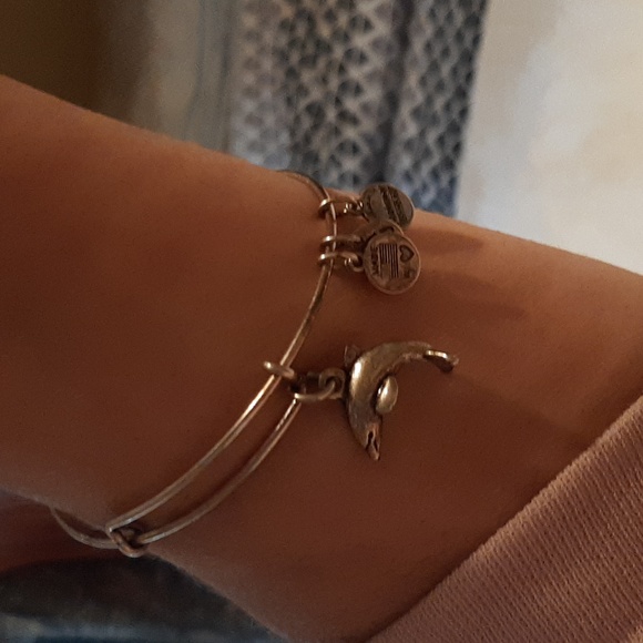 Alex & Ani Dolphin Silver Tone Bangle Charm Bracelet - Picture 1 of 3